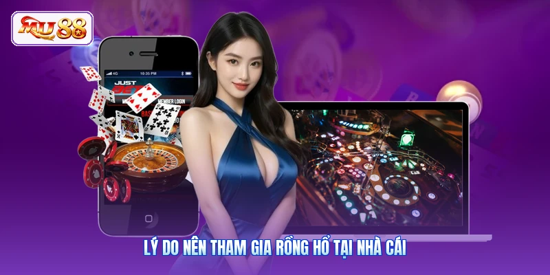 Lý do nên tham gia rồng hổ tại nhà cái